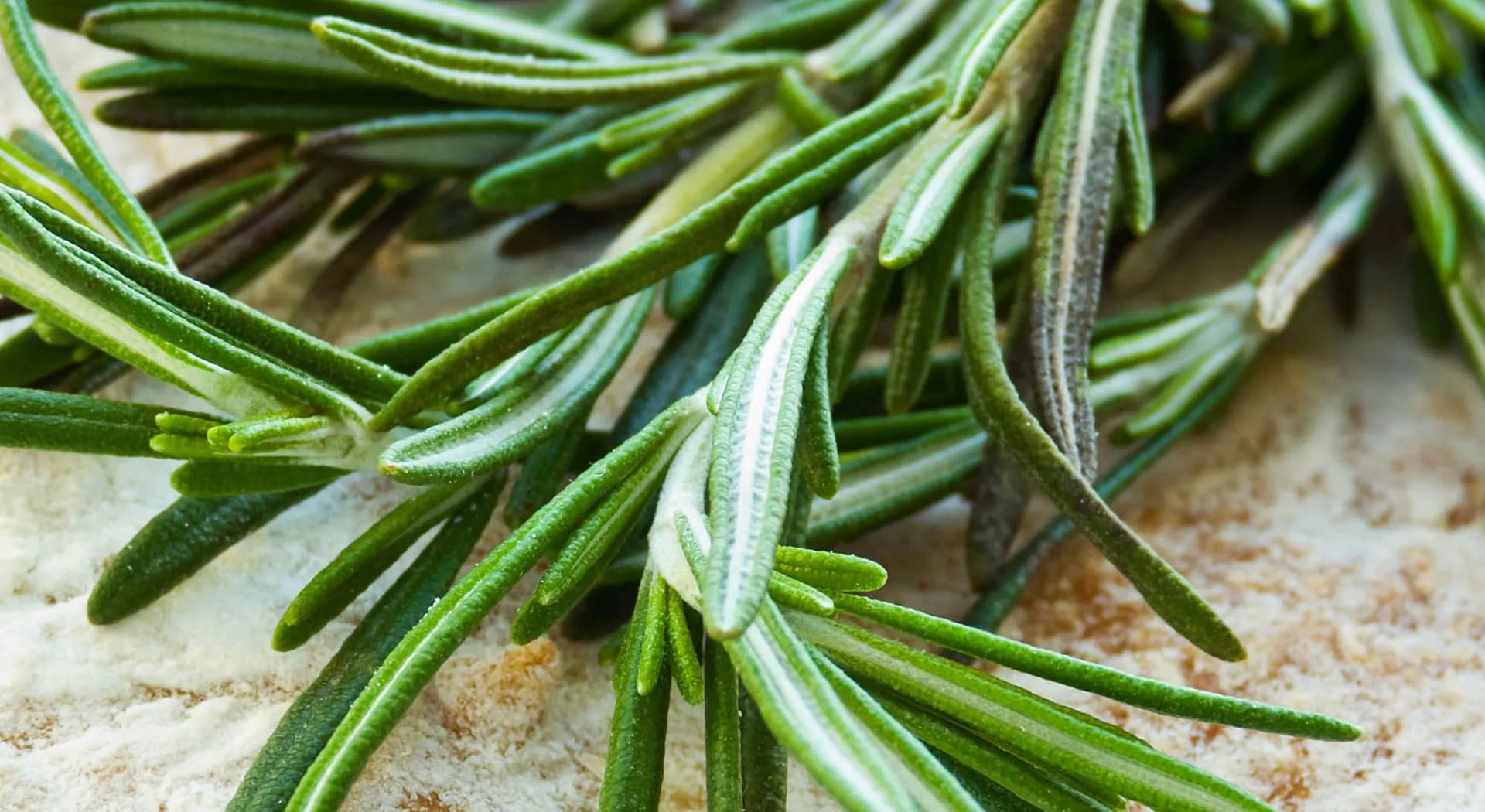 Rosemary: from drinks to baking, here are all the uses